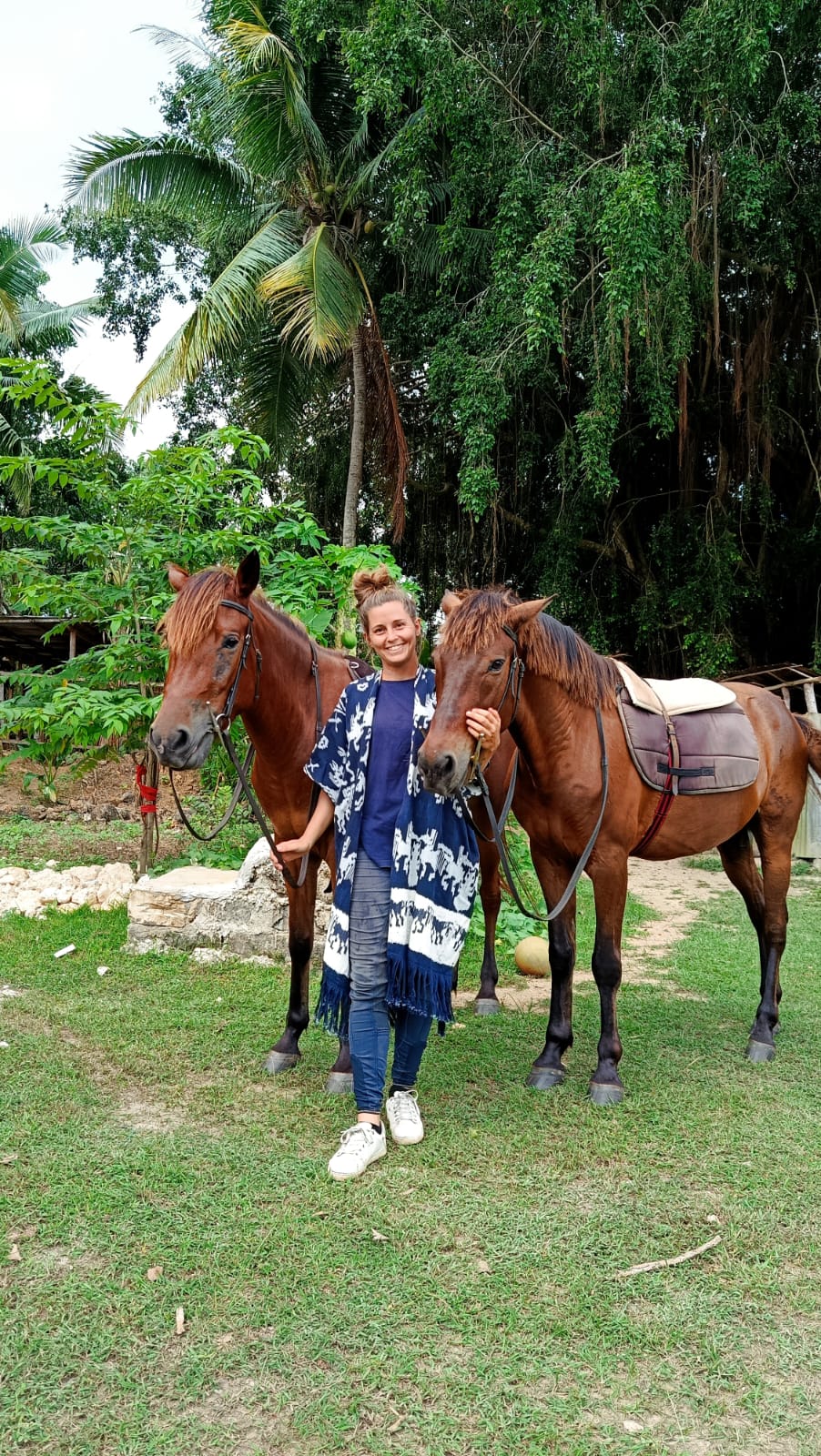 Steffi with her Sumba ponies