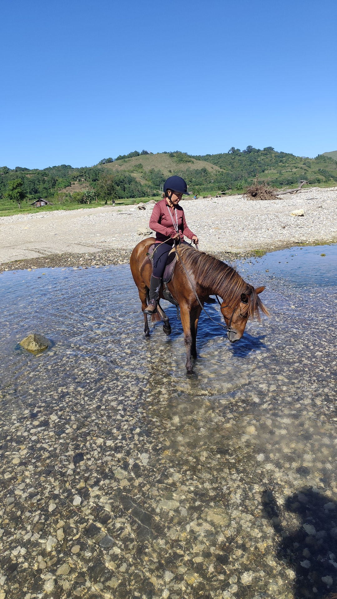 Riding down a jungle trail toward the sea