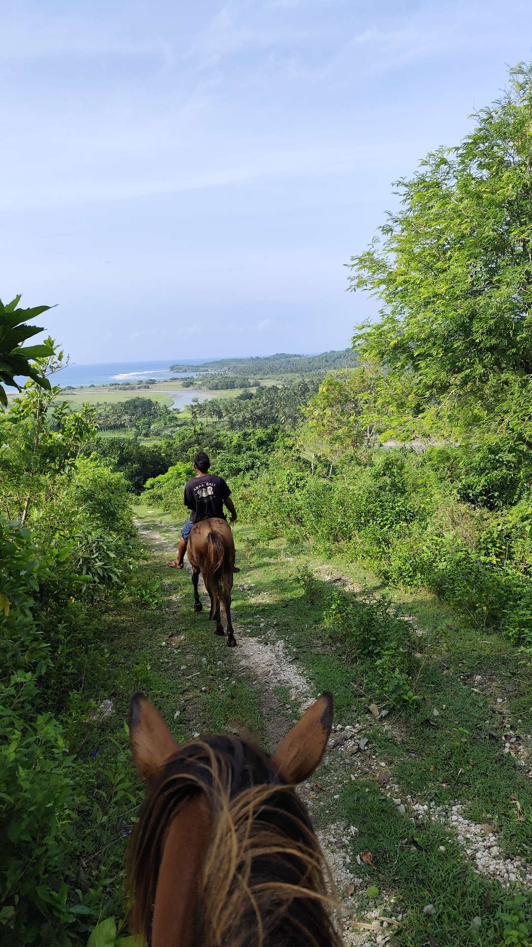 Horse and rider crossing a clear river with hills behind