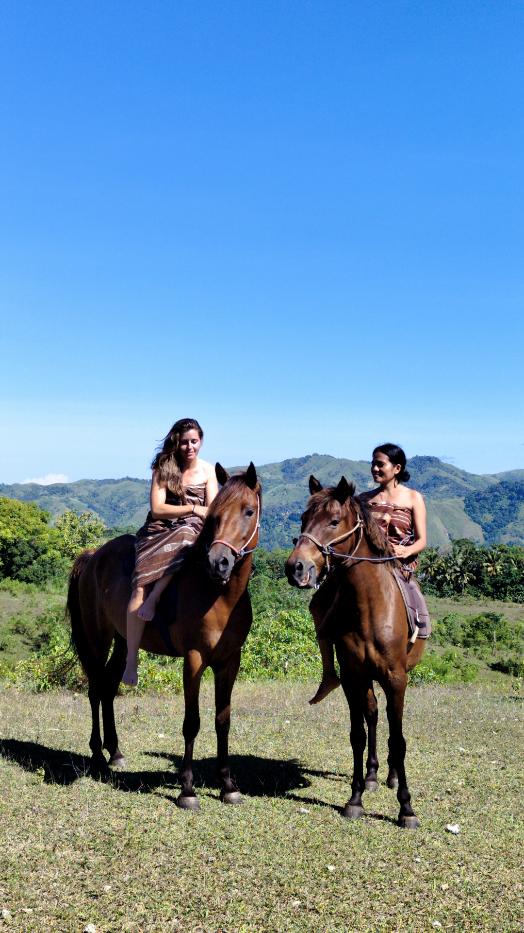 Steffi holding a Sumba pony on a hillside